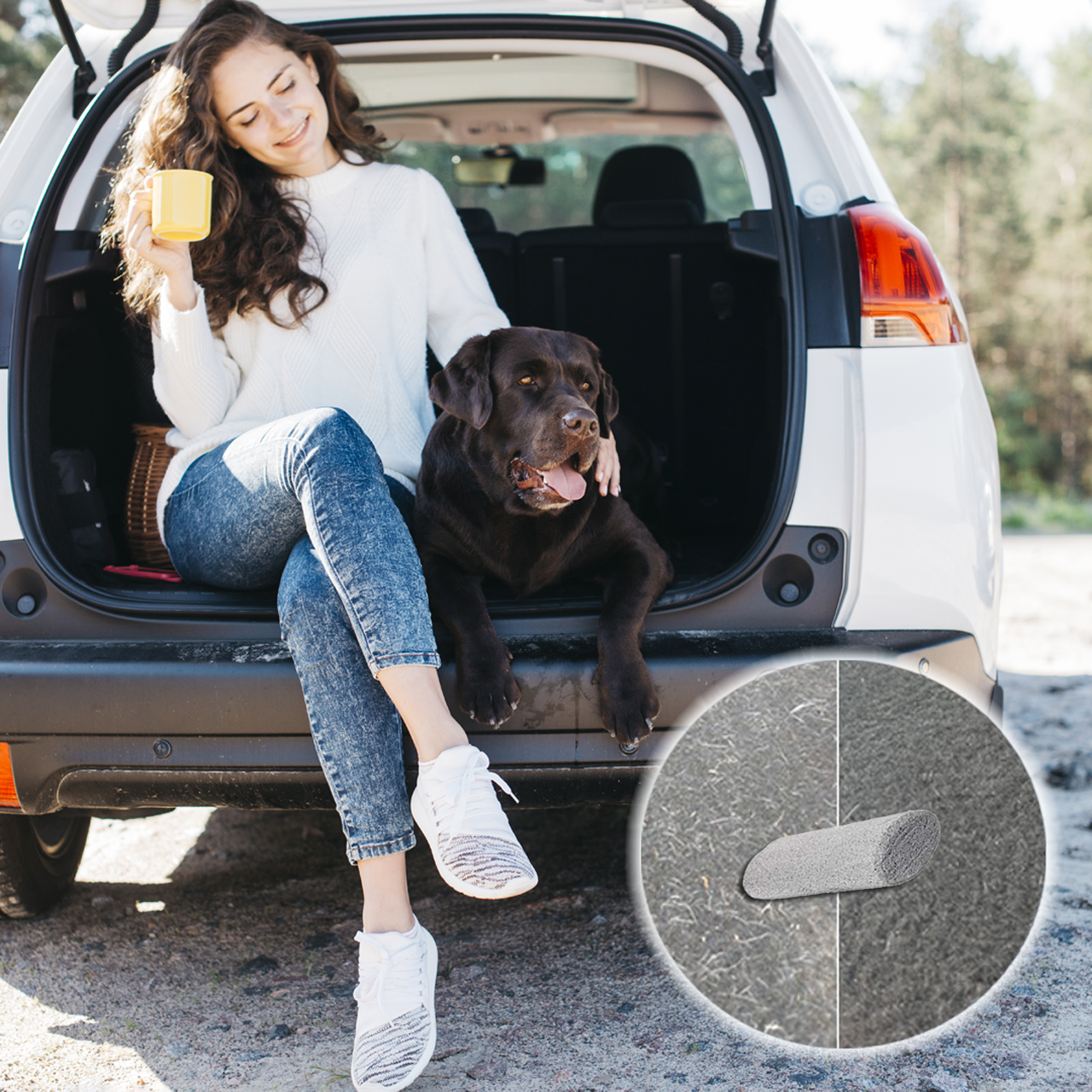 Elevate Essentials Pet Hair Stone for Car